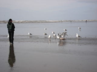 Illustration for article titled Ocean Shores is not boring.